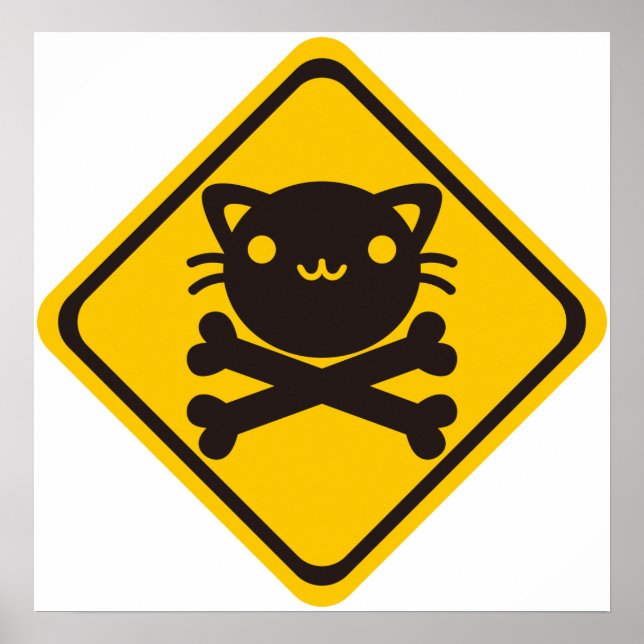 Poster BlackJack(Cat) (Frente)