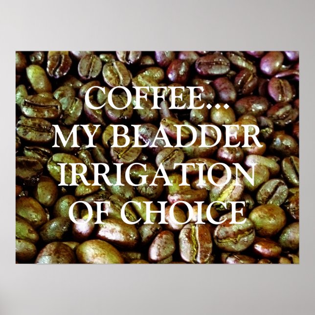 PÔSTER BLADDER IRRIGATION OF CHOICE (Frente)