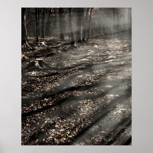 Pôster Blair Witch...ali! (Frente)