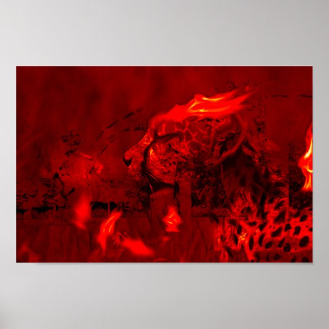 PÔSTER BLAZING CHEETAH (Frente)