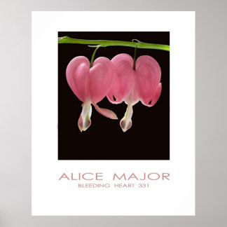 Poster Bleeding Hearts 331