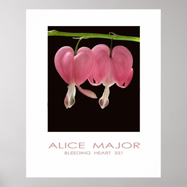 Poster Bleeding Hearts 331 (Frente)