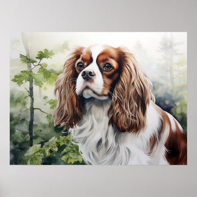 Poster Blenheim Cavalier King Charles Spaniel (Frente)