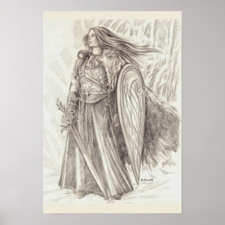 Pôster Blindagem Maiden de Avalon