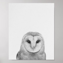 Poster Blinky, a coruja