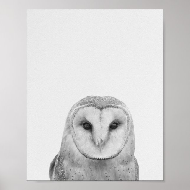 Poster Blinky, a coruja (Frente)