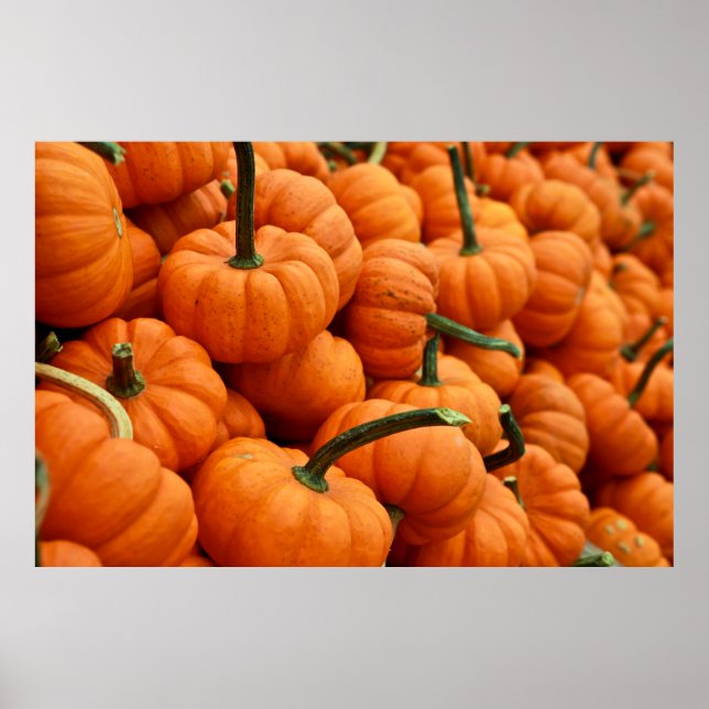 POSTER BLOCO DE PUMPKIN (Frente)
