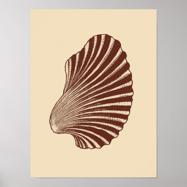 Poster Bloco de Shell Scallop Impressão, Castanho e bege (Frente)