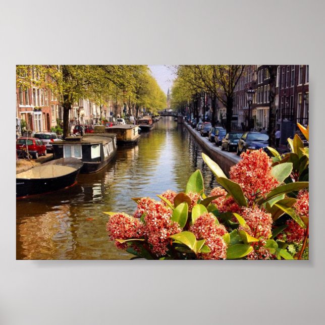 Poster Bloemgracht Amsterdam Canal Summer Photo (Frente)