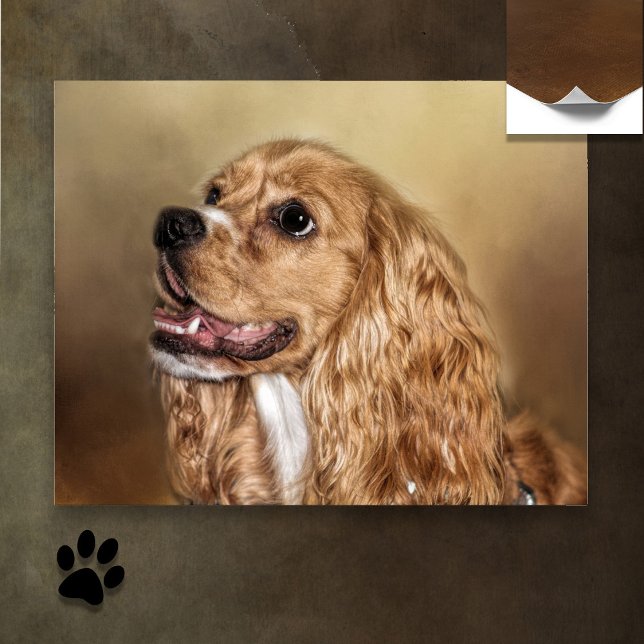 Poster Blonde Cocker Spaniel (Criador carregado)