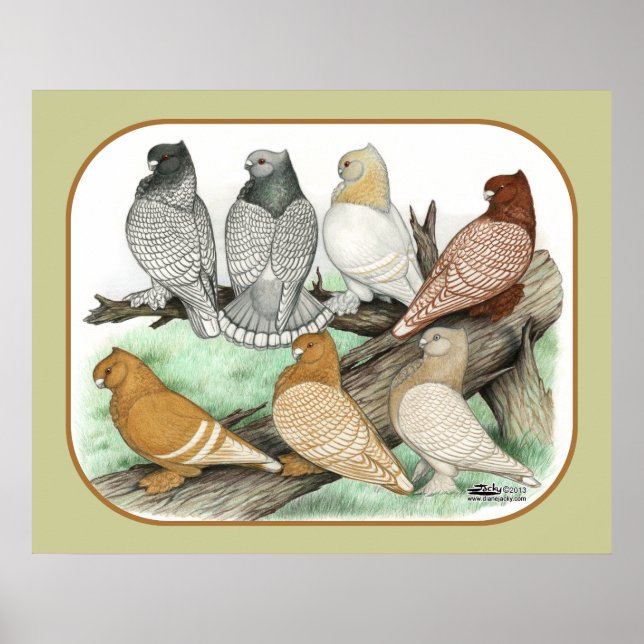 Pôster Blondinetes Clássicos (Frente)