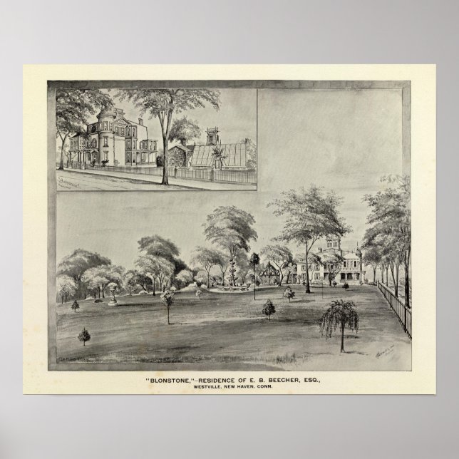 Pôster Blonstone, Westville (Frente)