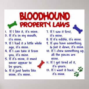 POSTER BLOODHOUND PL2