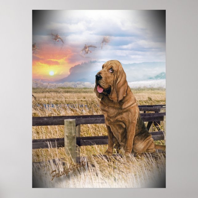 Pôster Bloodhound Sunset (Frente)