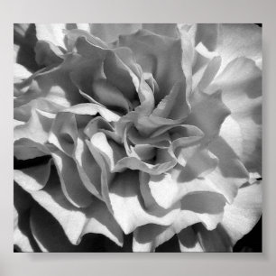 Pôster Bloom #4