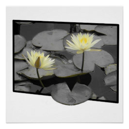 Pôster Bloom além da moldura Poster brilhante