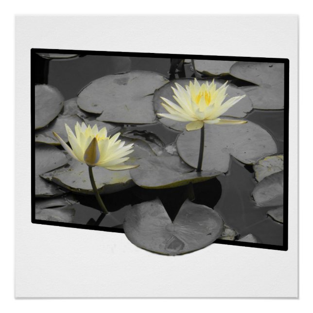 Pôster Bloom além da moldura Poster brilhante (Frente)