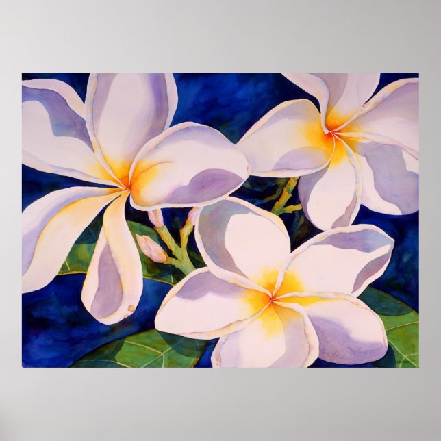 Pôster Bloom de cheio (Frente)