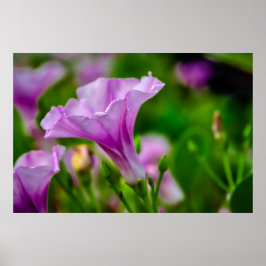 Poster Bloom Roxo Elegante em foco