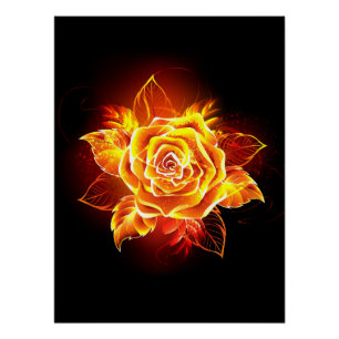 Pôster Blooming Fire Rosa