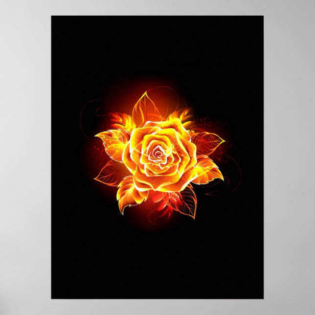 Poster Blooming Fire Rose (Frente)