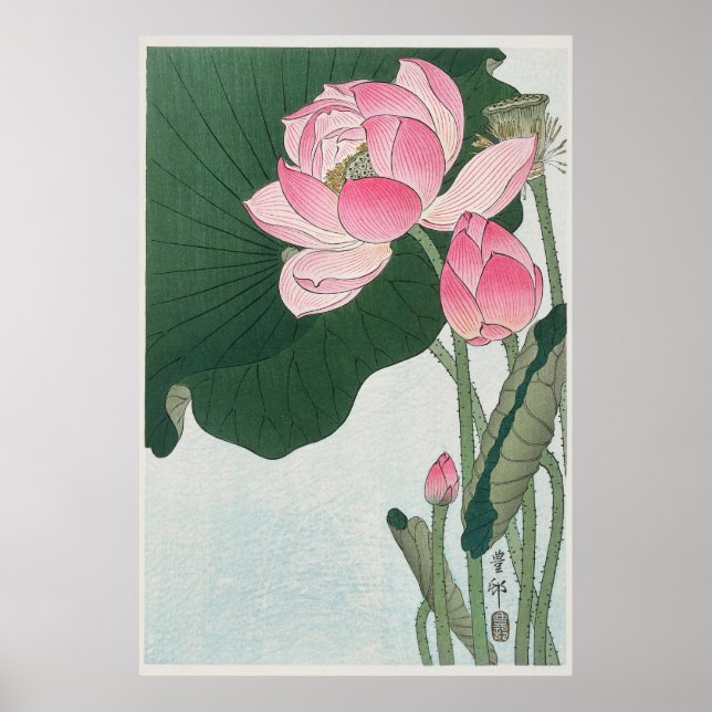 Poster Blooming Lotus (Frente)