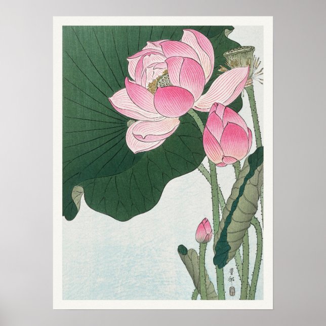 Poster Blooming Lotus Flowers Ohara Koson Arte Japonesa (Frente)