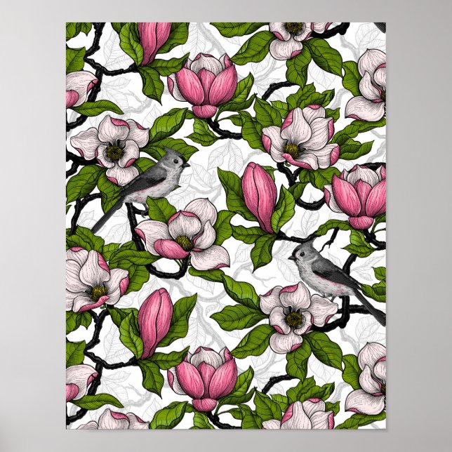 Poster Blooming magnolia and titmouse bird (Frente)
