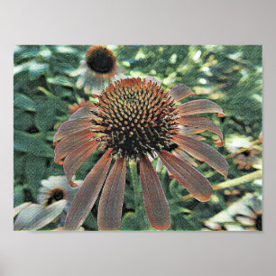 Poster Blooms of Love