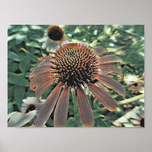 Poster Blooms of Love (Frente)