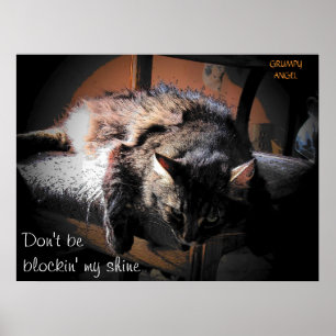 Pôster Bloqueando meu brilho - Anjo rabugento