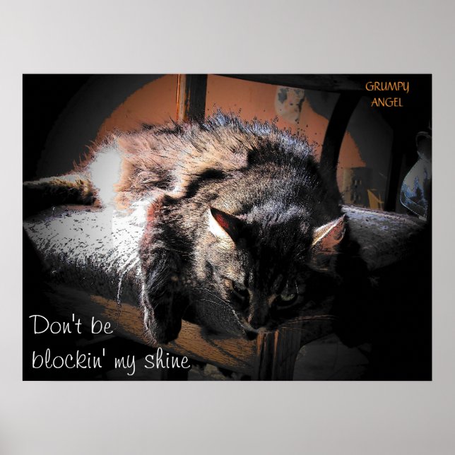 Pôster Bloqueando meu brilho - Anjo rabugento (Frente)