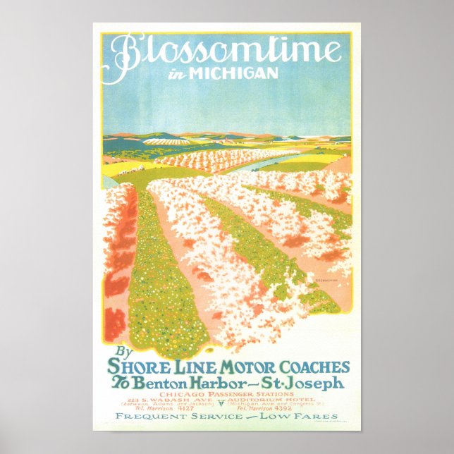 Poster Blossom Time in Michigan (Frente)