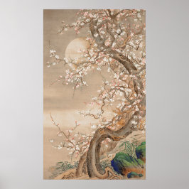 Poster Blossomas de ameixa japoneses à luz da lua