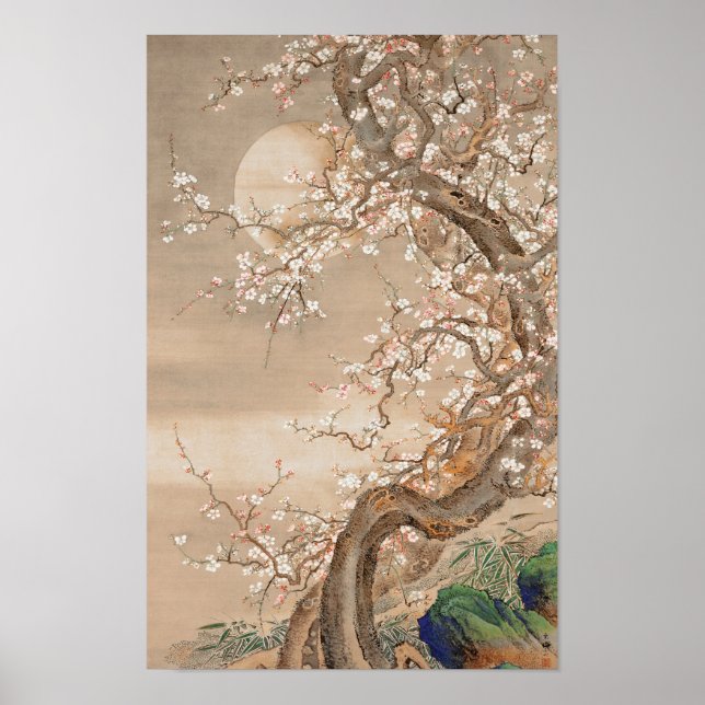 Poster Blossomas de ameixa japoneses em Lua por Sō Shizan (Frente)