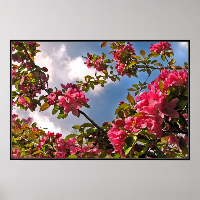 Pôster Blossomas de maçã (Frente)