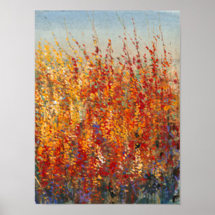 Pôster Blossomas do Alto Deserto II