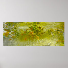 Poster Blossomas Forçados,