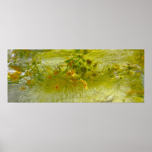 Poster Blossomas Forçados, (Frente)