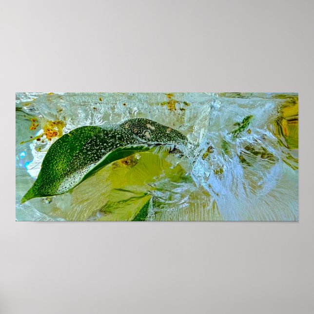 Poster Blossomas Forçados, (Frente)