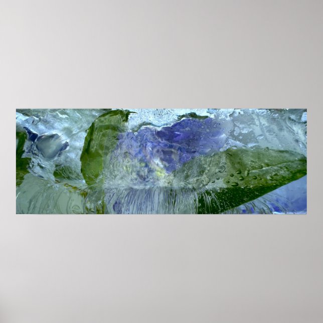 Poster Blossomas Forçados, (Frente)