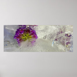 Poster Blossomas Forçados,