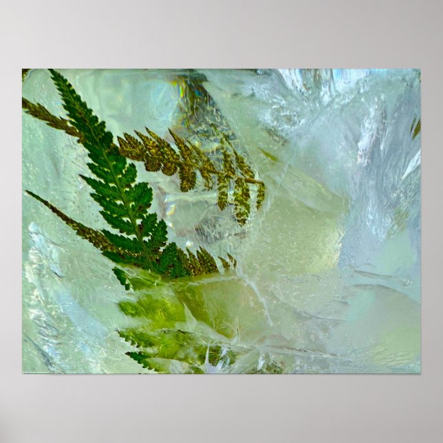 Poster Blossomas Forçados, (Frente)