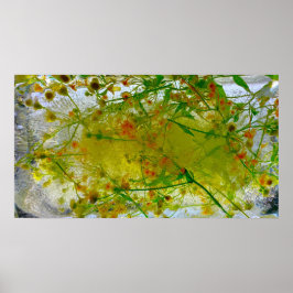 Poster Blossomas Forçados,