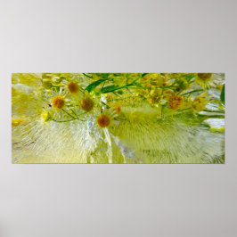 Poster Blossomas Forçados,