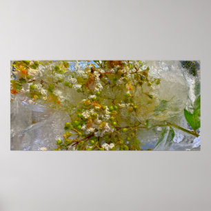 Poster Blossomas Forçados,