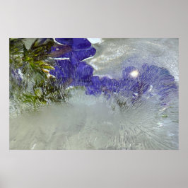 Poster Blossomas Forçados,