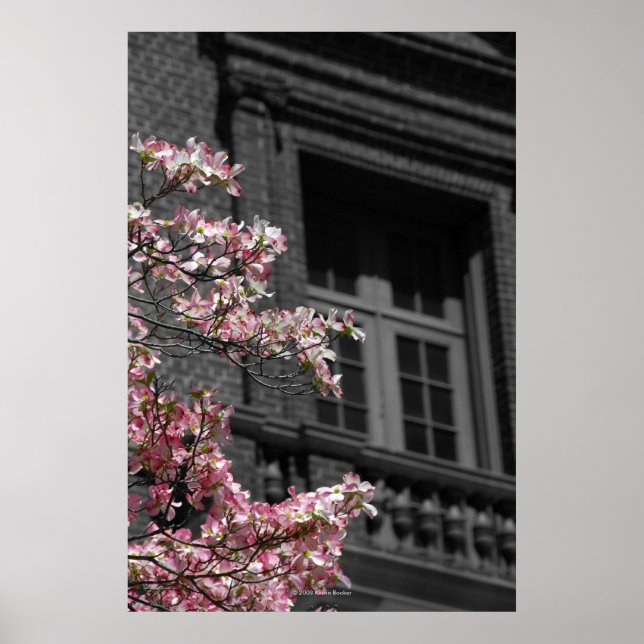 Poster Blossoming Balcony (Frente)