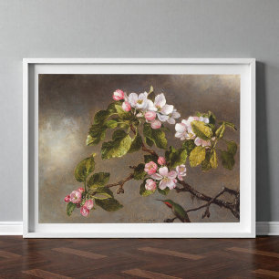 Poster Blossomo de Mingbird e Maçã