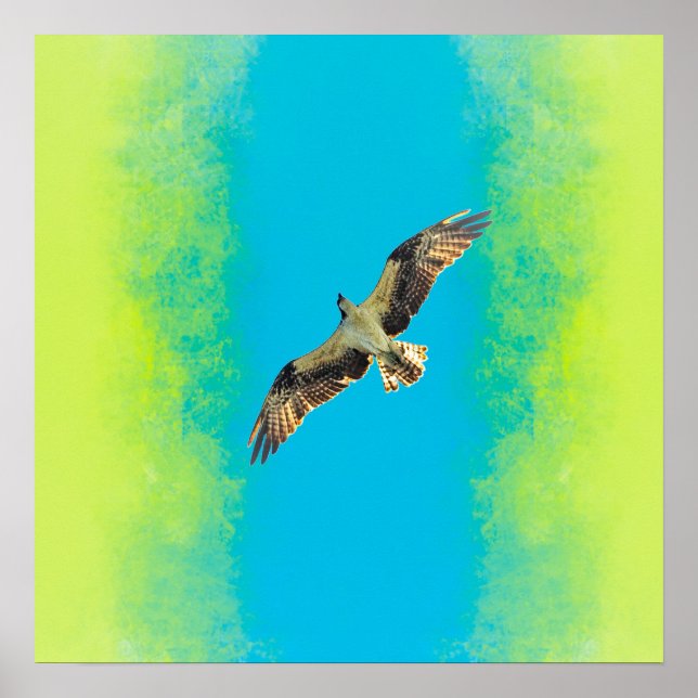 Poster Blue and yellow (Frente)